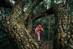 BIB: 
                            <button type="button" onclick="openModal(25393986)" class="btn btn-primary btn-sm float-right btn-popup" data-toggle="modal" data-target=".modal-high-quality">
                        <i class="fas fa-shopping-cart"></i> Add to Cart
                    </button>
                                            <button type="button" onclick="isThisMe(25393986, true)" class="btn btn-success btn-sm float-right btn-popup btn-isme hidden" data-toggle="tooltip" data-placement="bottom" title="นี่คือรูปของคุณใช่ไหม คลิกที่นี่เพื่อเอาเข้าอัลบั้ม">
                        <i class="fas fa-plus"></i> Add to album
                    </button>
                    <button type="button" onclick="isThisMe(25393986, false)" class="btn btn-warning btn-sm float-right btn-popup btn-isnotme hidden">
                        <i class="fas fa-ban"></i> Remove from album
                    </button>